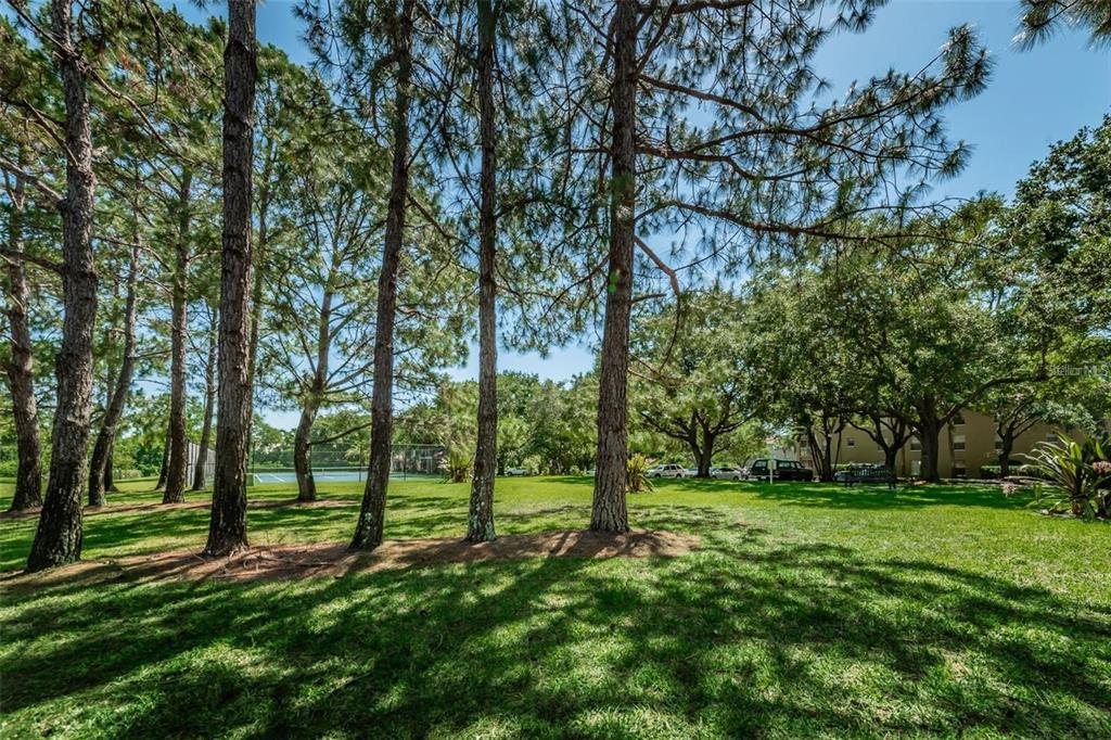 2690 Coral Landings Boulevard, Unit 622 Palm Harbor, FL 34684 - Photo 31 of 31 a view of green field with trees in the background