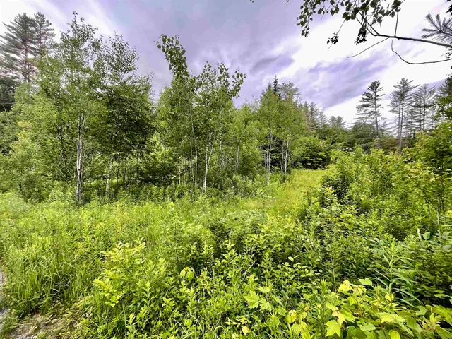 $165,000 | 4769 Pikes Falls Road, Jamaica, VT 05343