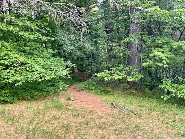 $165,000 | 4769 Pikes Falls Road, Jamaica, VT 05343