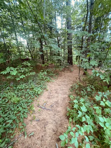 $165,000 | 4769 Pikes Falls Road, Jamaica, VT 05343