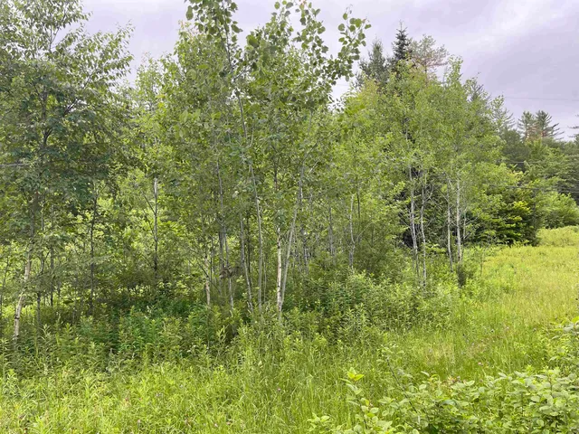 $165,000 | 4769 Pikes Falls Road, Jamaica, VT 05343