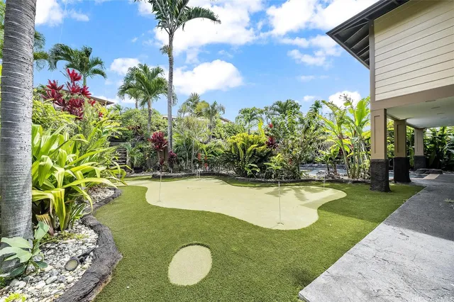 a view of a backyard with potted plants
