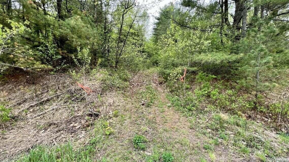 Lot 1-1a Madison Road Norridgewock, ME 04957 - Photo 5 of 24 6- LandPict