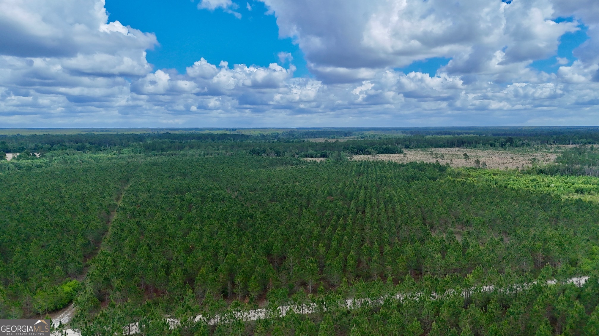 26-ac Owens Road Odum, GA 31555 - Photo 1 of 4