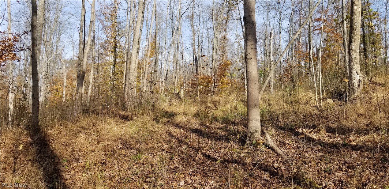 Jeffers Road Athens, OH 45701 - Photo 15 of 35
