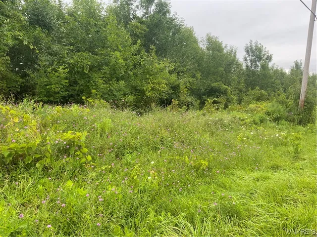 $40,000 | 0 Gravel Road North, Medina, NY 14103