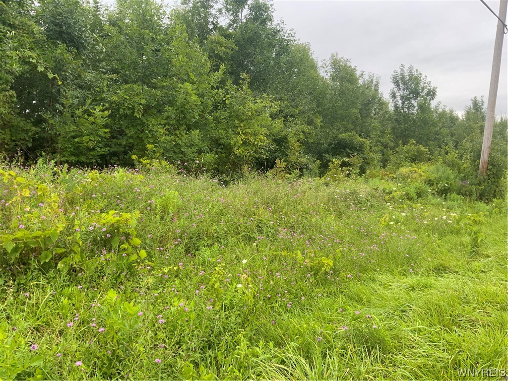 0 Gravel Road North Medina, NY 14103 - Photo 2 of 8