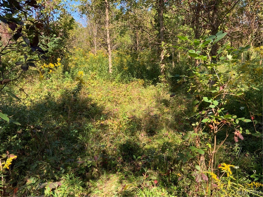 0 Gravel Road North Medina, NY 14103 - Photo 6 of 8