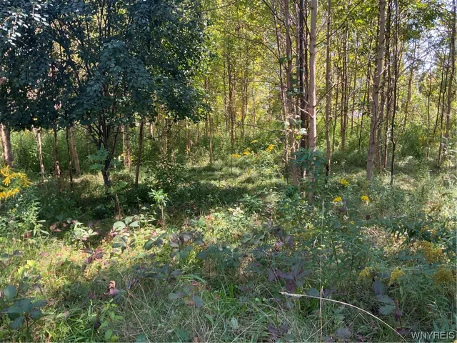 $40,000 | 0 Gravel Road North, Medina, NY 14103