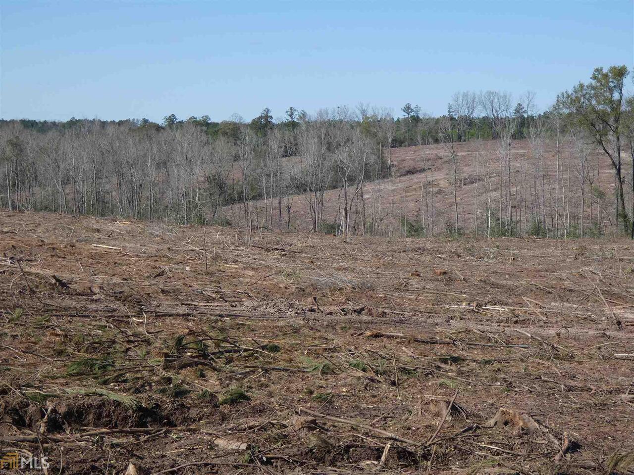 0 Little Sandy Creek Road Toomsboro, GA 31090 - Photo 1 of 1 Gallery Image 1