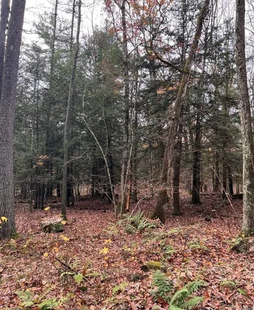 a view of outdoor space