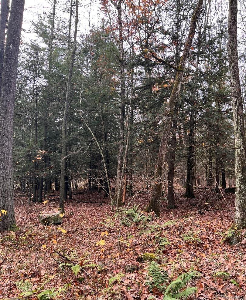 91 Laurie Lane Cairo, NY 12413 - Photo 13 of 15 a view of outdoor space