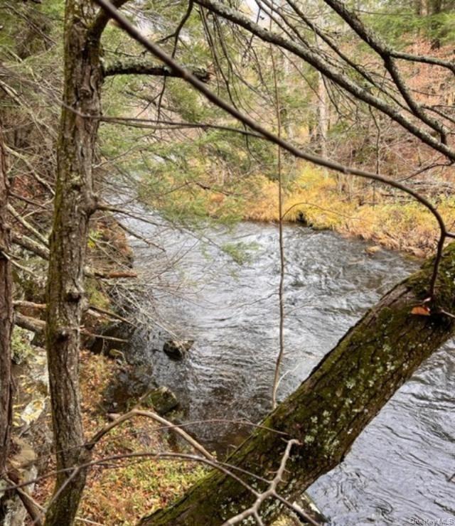 91 Laurie Lane Cairo, NY 12413 - Photo 6 of 15 a picture of a street