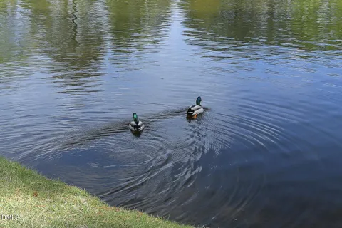 $479,000 | 2434 Swans Rest Way, Raleigh, NC 27606