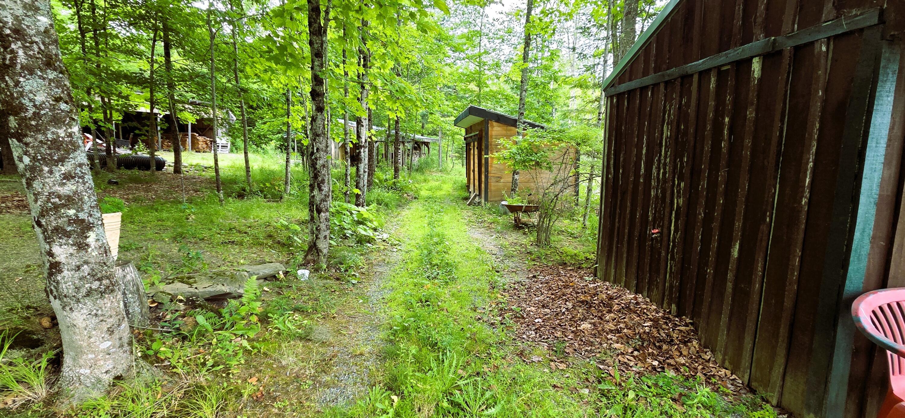 83 Brooks Pond Road Corinna, ME 04928 - Photo 20 of 80 begining of trail and out buildings