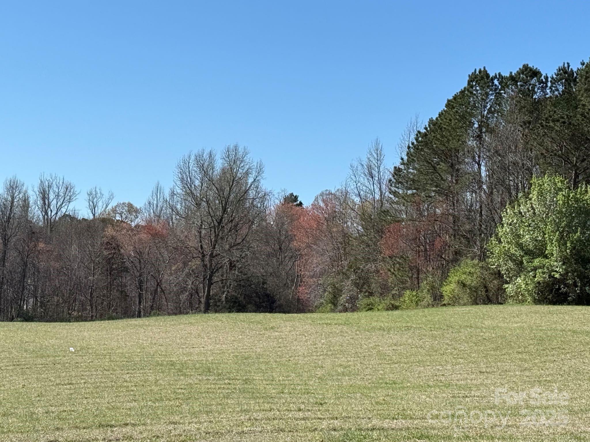 0 Mariposa Road Stanley, NC 28164 - Photo 1 of 6 Gallery Image 1
