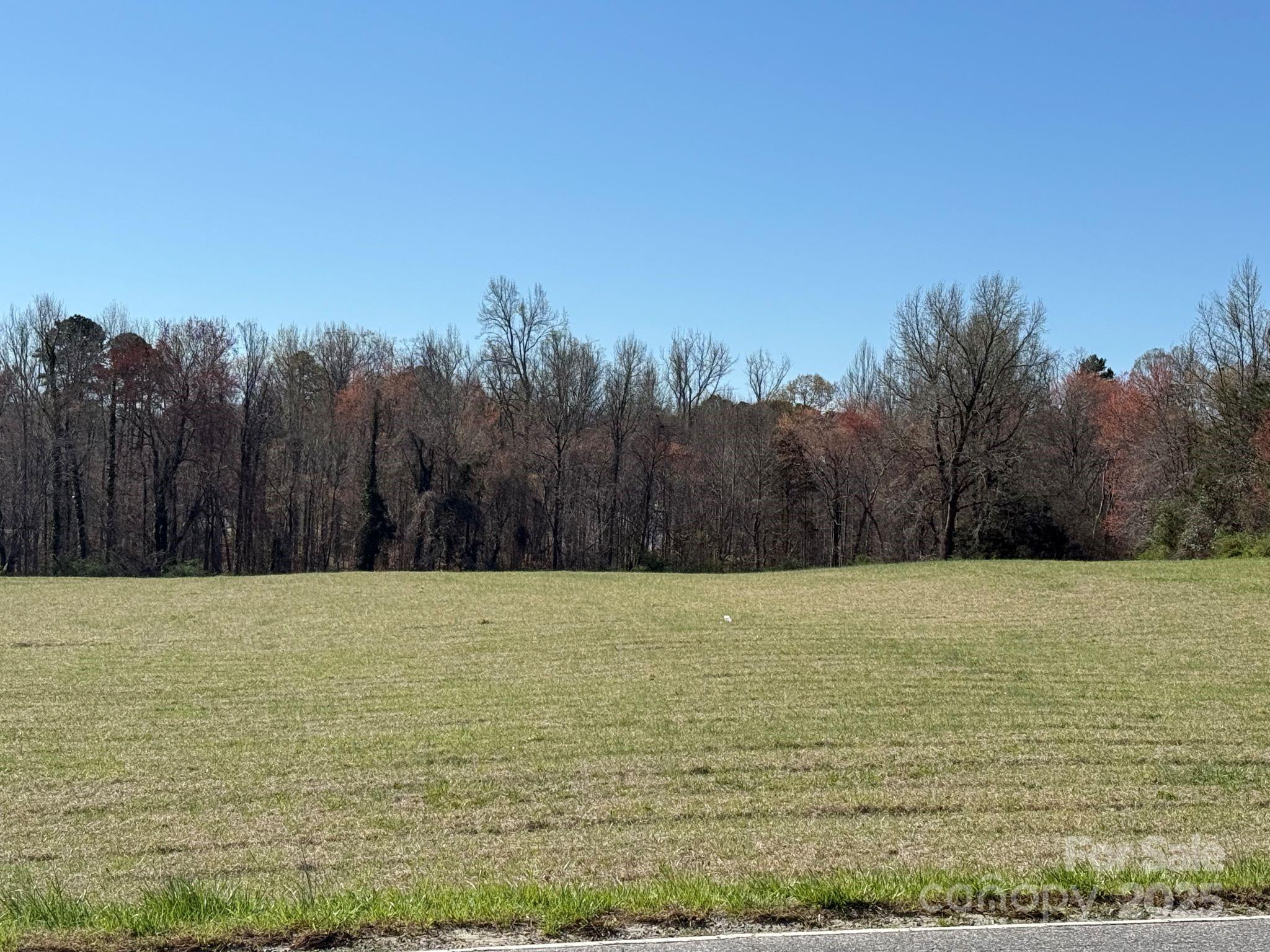 0 Mariposa Road Stanley, NC 28164 - Photo 4 of 6 Gallery Image 4
