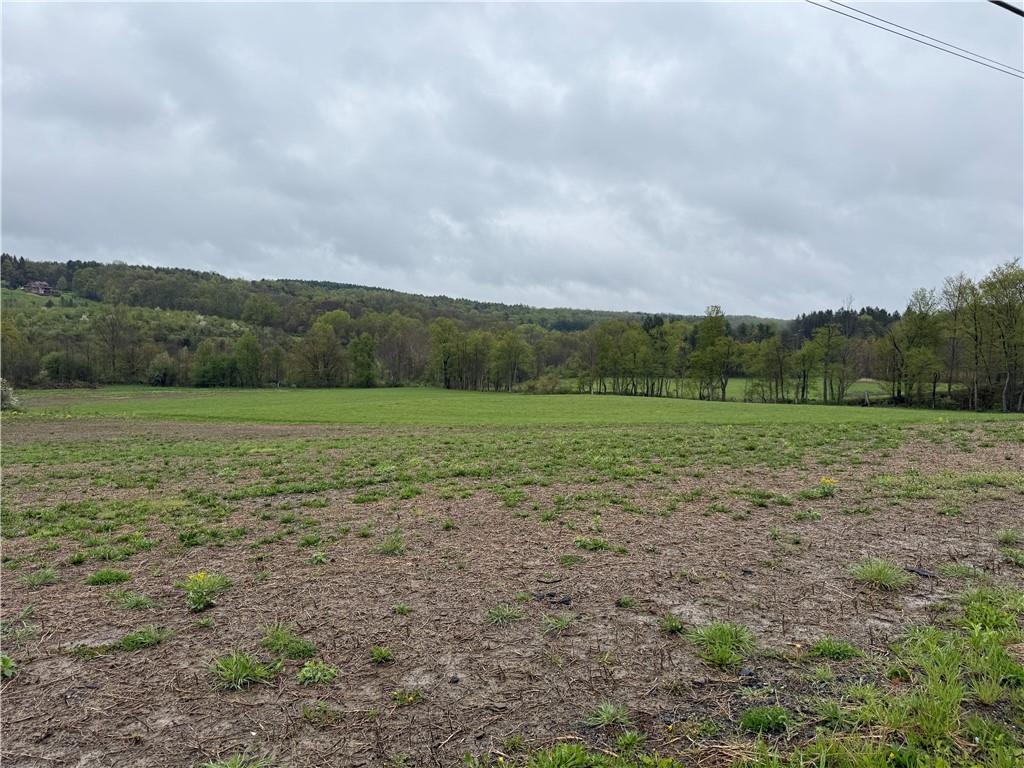 0 Dunn Valley Road Waterford, PA 16441 - Photo 31 of 43