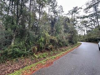 Lot 32 Creole Road Lacombe, LA 70445 - Photo 1 of 6 Gallery Image 1
