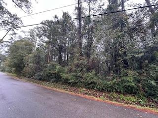 Lot 32 Creole Road Lacombe, LA 70445 - Photo 2 of 6 Gallery Image 2