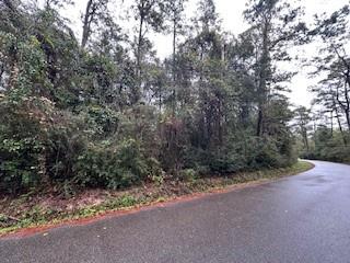 Lot 32 Creole Road Lacombe, LA 70445 - Photo 6 of 6 Gallery Image 6