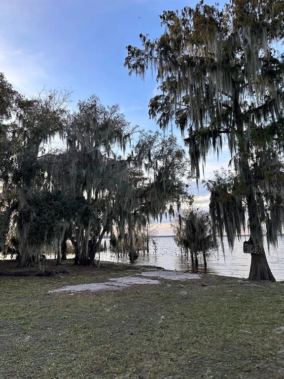 1954 Boat Club Road Oviedo, FL 32765 - Photo 19 of 20 a view of road with trees