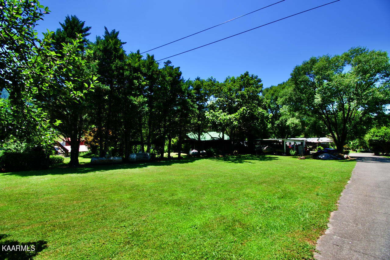924 Cavern Road Townsend, TN 37882 - Photo 18 of 37 DSC_0580