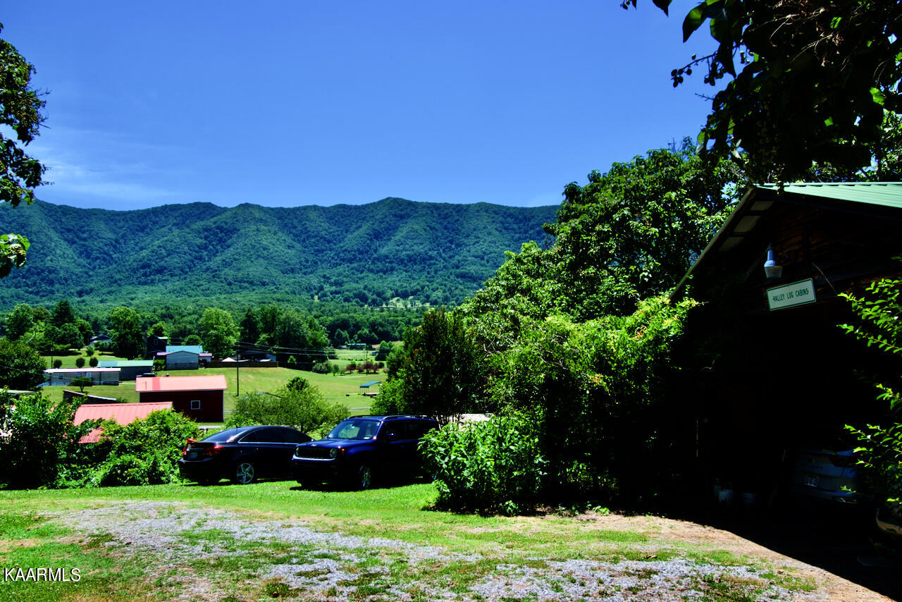 924 Cavern Road Townsend, TN 37882 - Photo 22 of 37 DSC_0583