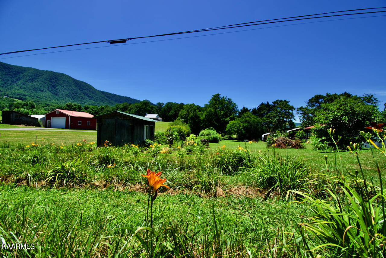 924 Cavern Road Townsend, TN 37882 - Photo 28 of 37 DSC_0611