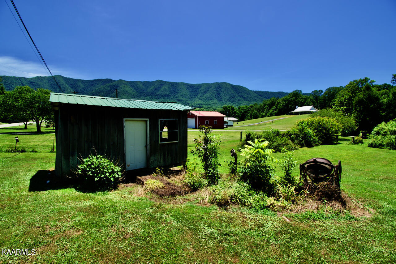 924 Cavern Road Townsend, TN 37882 - Photo 29 of 37 DSC_0612