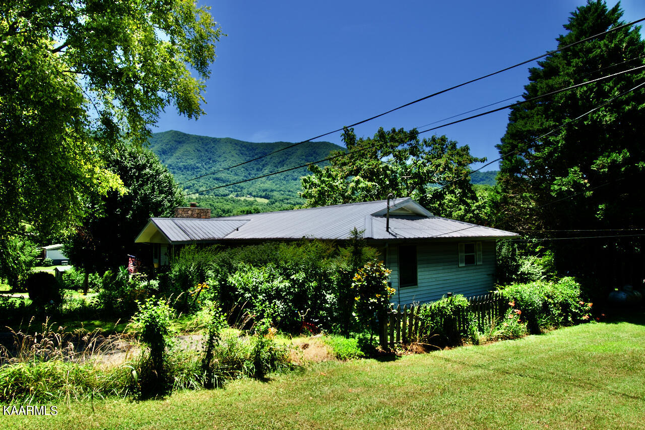 924 Cavern Road Townsend, TN 37882 - Photo 3 of 37 DSC_0576