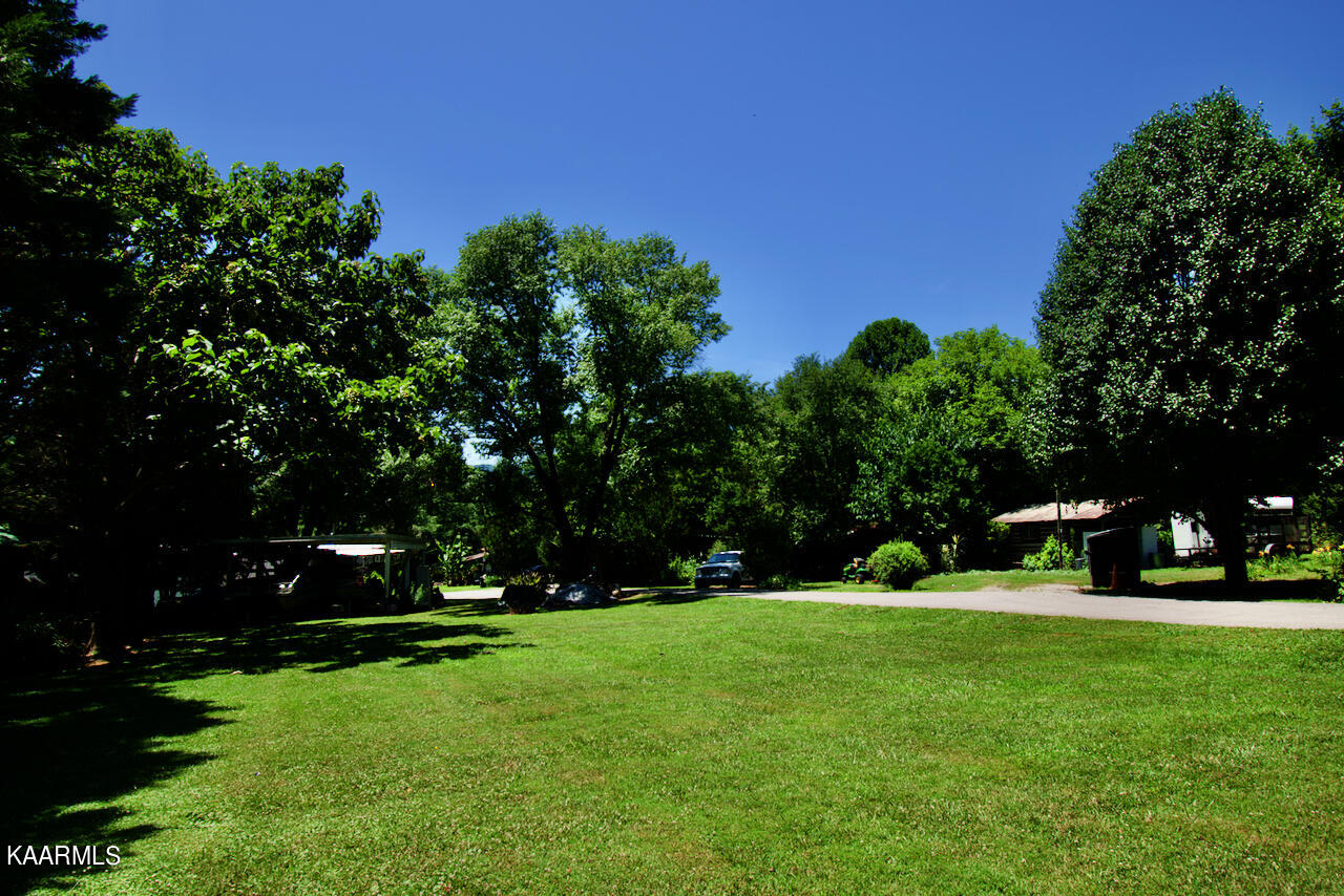 924 Cavern Road Townsend, TN 37882 - Photo 36 of 37 DSC_0620