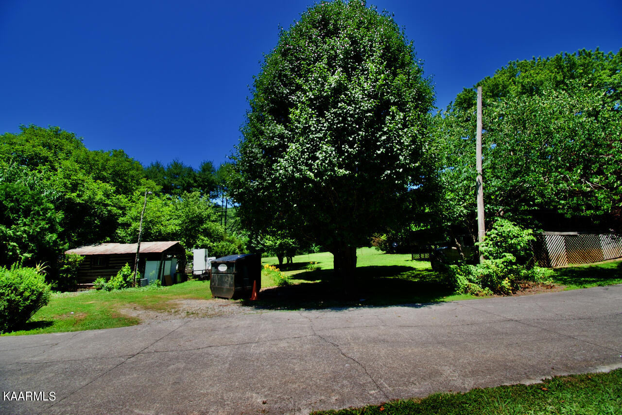 924 Cavern Road Townsend, TN 37882 - Photo 37 of 37 DSC_0581