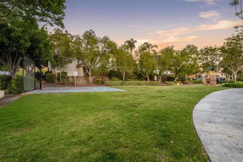 a view of a park with large trees