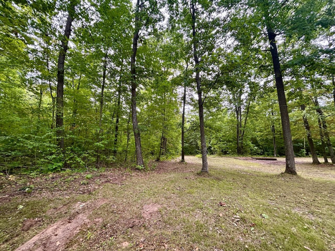 Cassidy (oakridge) Road Gladwin, MI 48624 - Photo 27 of 40