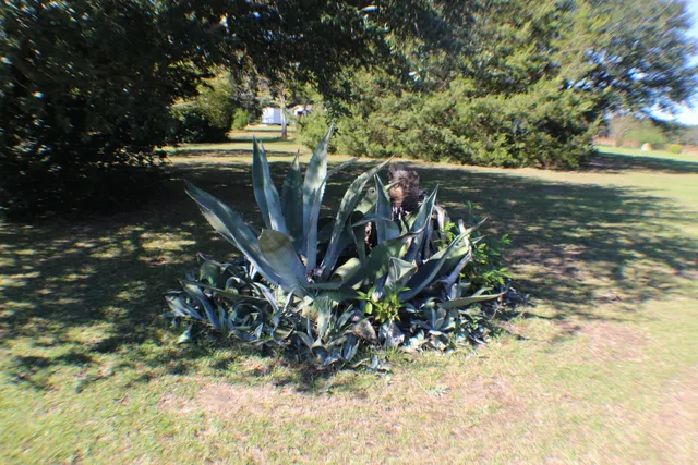 $225,000 | 756 Santee River Road, Santee, SC 29142