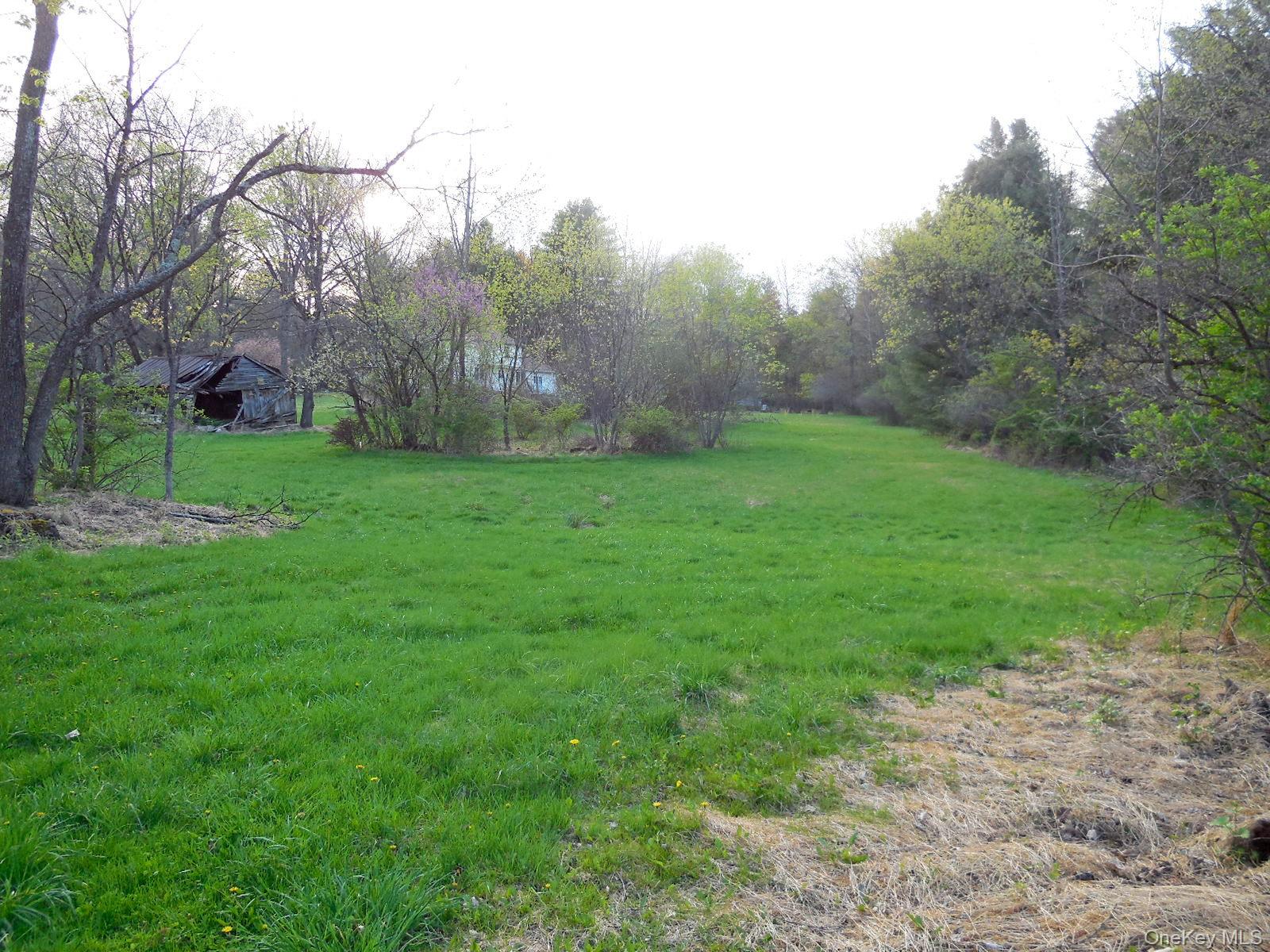 617 Burlingham Road Bloomingburg, NY 12721 - Photo 35 of 39 Back yard beyond outbuilding.