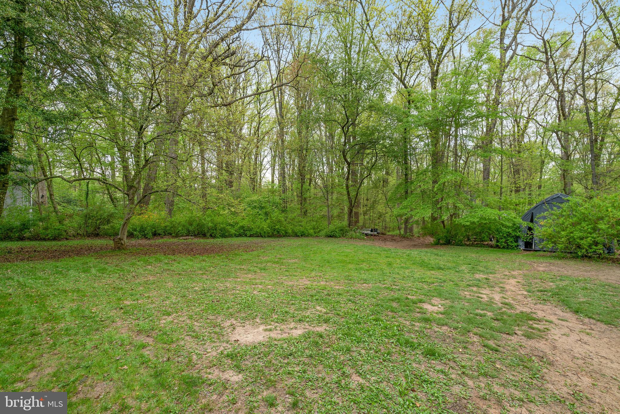 1210 Ednor Road Silver Spring, MD 20905 - Photo 38 of 49 Rear Yard
