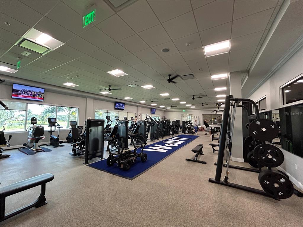 20 Bayhead Lane Osprey, FL 34229 - Photo 63 of 72 a view of a room with gym equipment