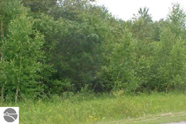 0 Manor Road Au Gres, MI 48703 - Photo 1 of 7 1837278.JPG