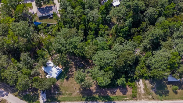 an outdoor space with lots of trees
