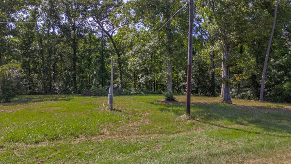 a green field with lots of trees