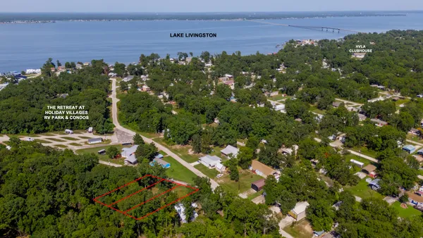 a view of a bunch of trees