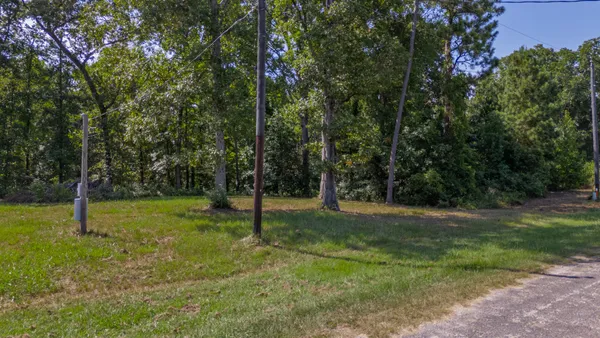 a view of a trees in a park