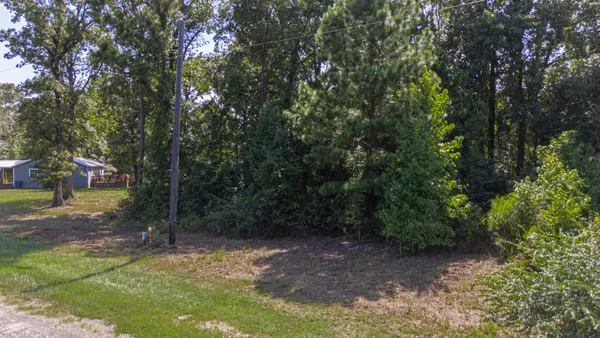 a view of a yard with plants and trees