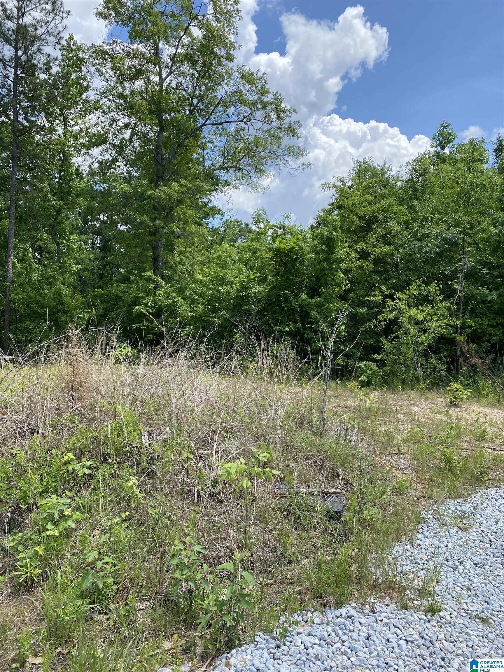 5942 Stemley Road, Unit 1 Talladega, AL 35160 - Photo 1 of 14