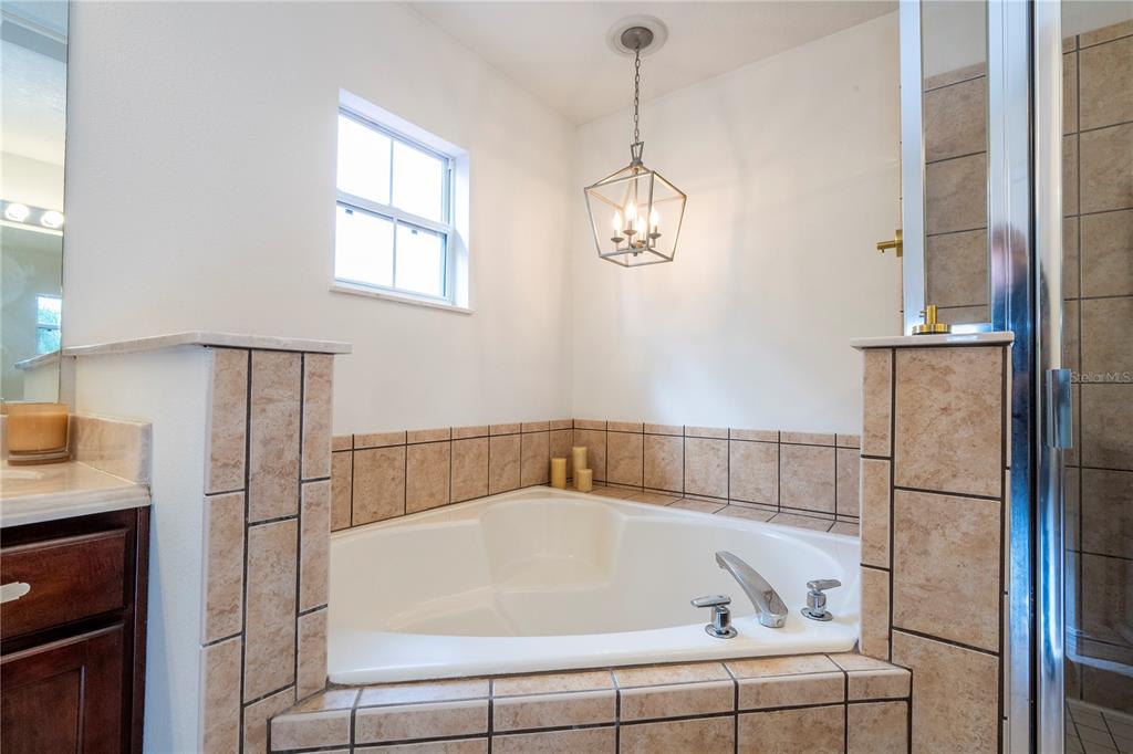 11410 Rapallo Lane Windermere, FL 34786 - Photo 36 of 62 a bathroom with a bathtub and a shower