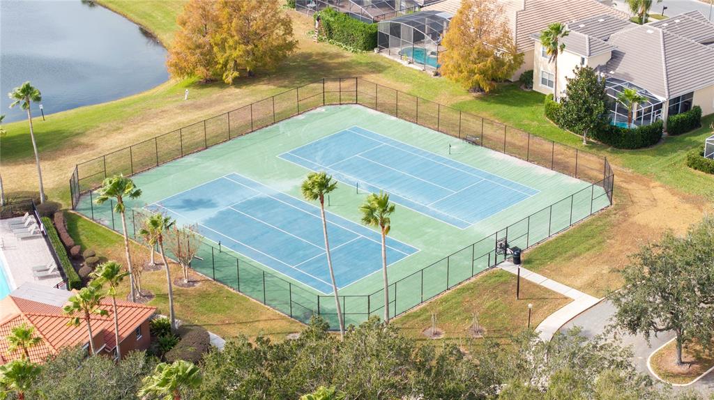 11410 Rapallo Lane Windermere, FL 34786 - Photo 61 of 62 a view of a backyard