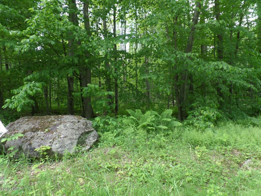 Lot 1 Avoy & Wallace Road Lake Ariel, PA 18436 - Photo 1 of 6
