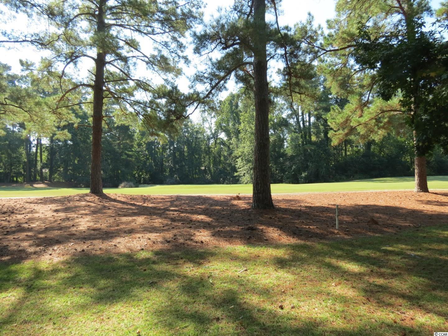 161 Quail Run Conway, SC 29526 - Photo 6 of 25 Gallery Image 6